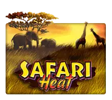 Safari Heat